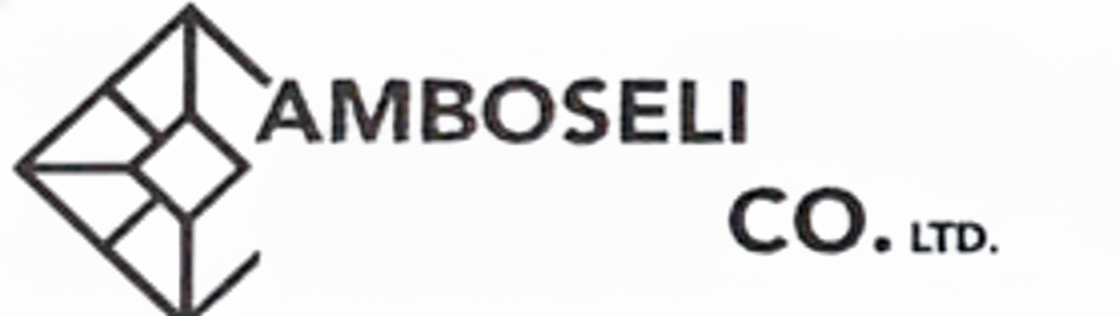 AMBOSELI CO.LTD